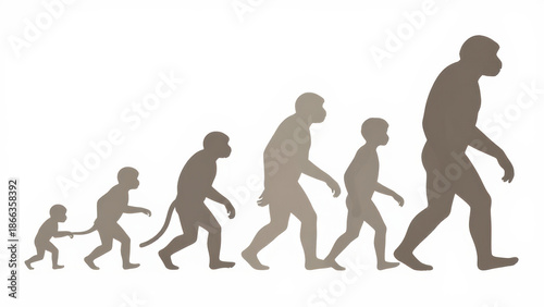 Evolution illustration monkey to human silhouette isolated on white background concept of human development gradual change scientific educational biology anthropology progress growth