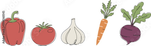 Colorful vegetables illustration, red bell pepper, tomato, garlic bulb, carrot with leaves, beetroot, healthy food, organic produce, nutrition concept