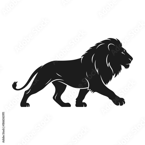 Lion vector illustration