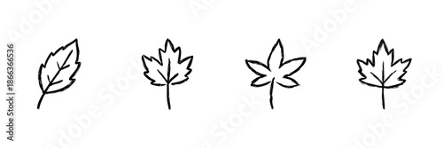 Four Leaf Variations Line Icon Set In Doodle Style. Botanical Diversity And Nature Representation Outline Sketch Collection. Hand Drawn Isolated Vector Illustration