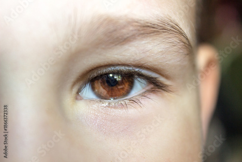 Extreme close-up of a little boy's brown eyes looking at the camera.