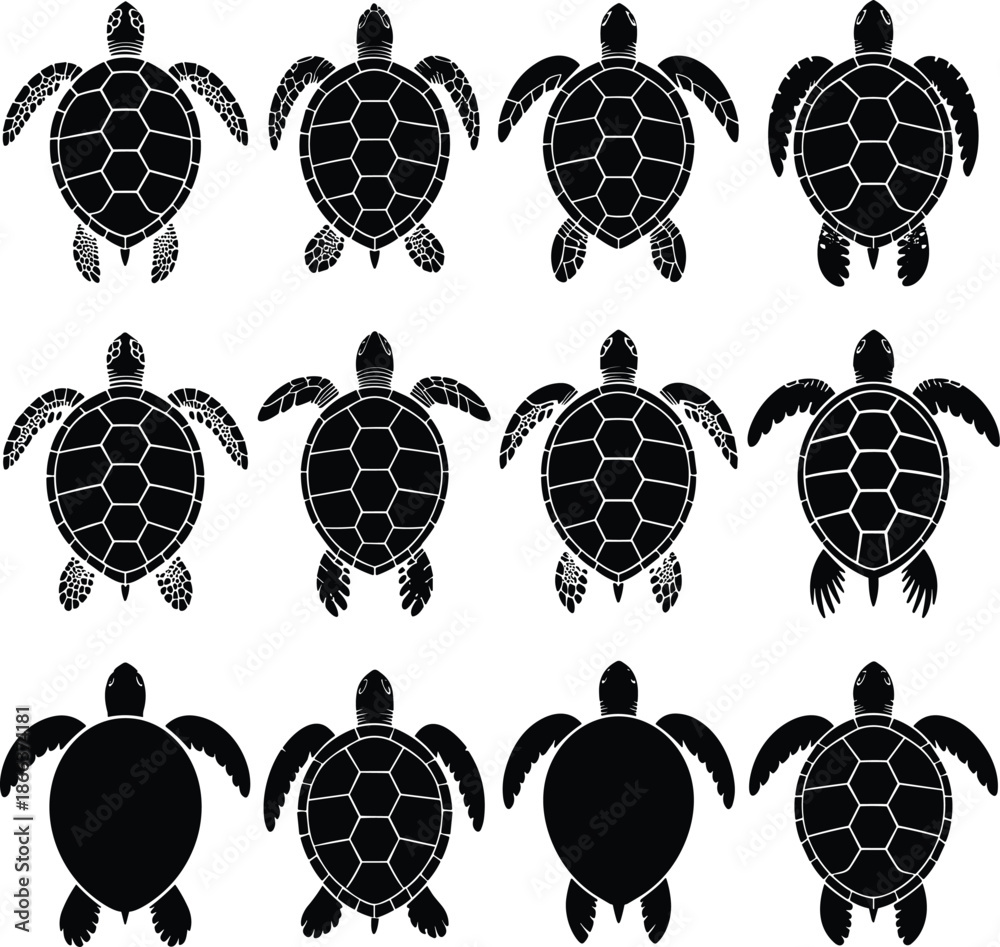 Fototapeta premium Nine black and white sea turtles with detailed shells and flippers 1