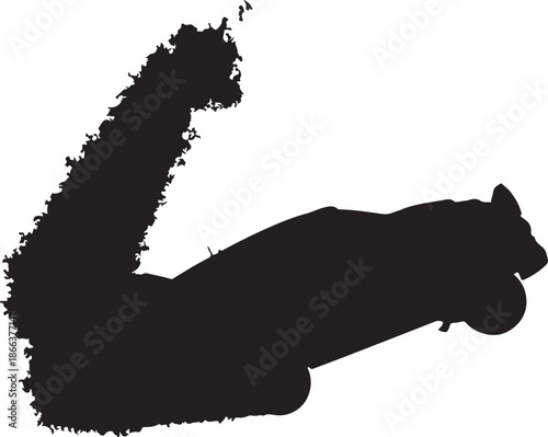 cat silhouette isolated