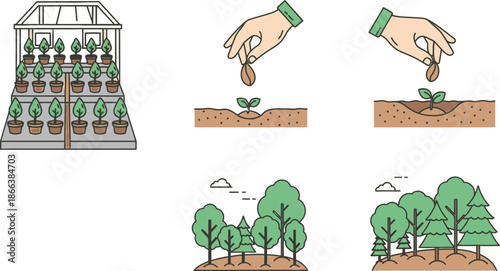 Planting Seeds in Greenhouse and Garden Environment for a Greener Tomorrow