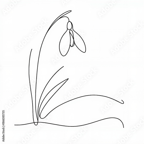 Minimal line drawing of a snowdrop flower on white background  