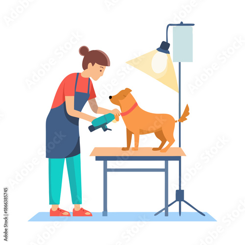 Woman grooming a dog in a salon with professional tools
