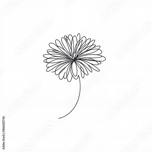 Single line drawing of a flower in minimalist style  