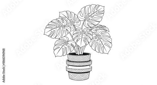 Detailed line art drawing of a monstera deliciosa houseplant in a decorative patterned ceramic pot for home decor.