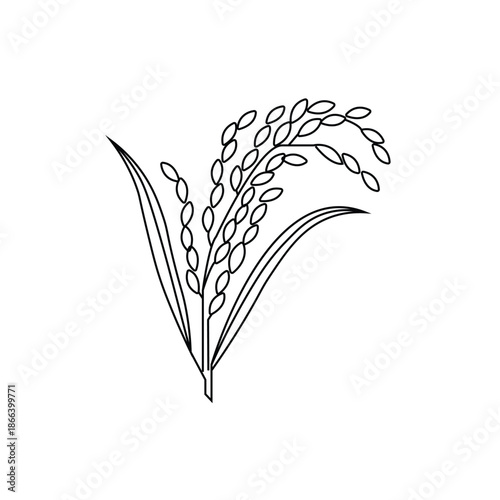 Rice Icon, Free Victor For Design, Dhan, Coloring Rice-7