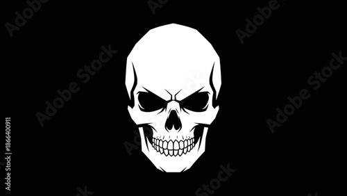 Monochrome Skull Illustration with Intricate Details on Black Background.