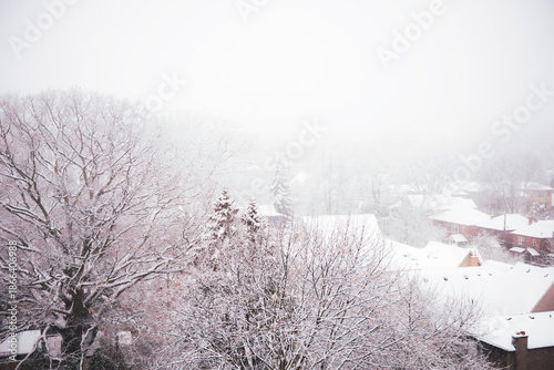 Canvas Print snowy winter in Toronto, Canada