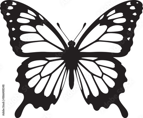 Placeholder image display