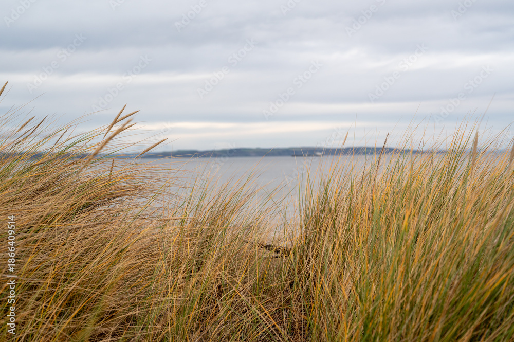 Fototapeta premium Across the Firh, Nairn, Scotland.