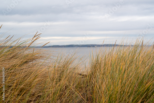 Canvastavla Across the Firh, Nairn, Scotland.