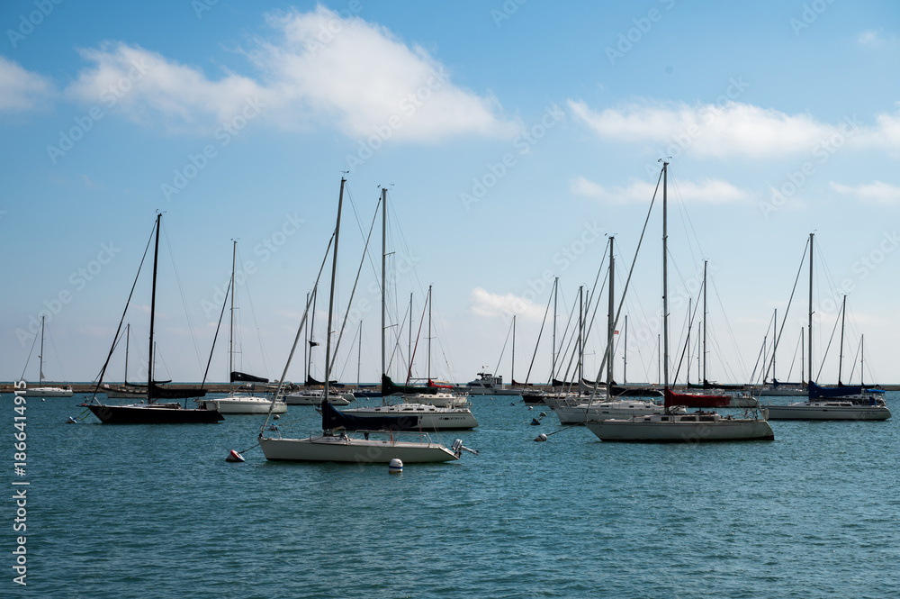Fototapeta premium sailboats in the harbor