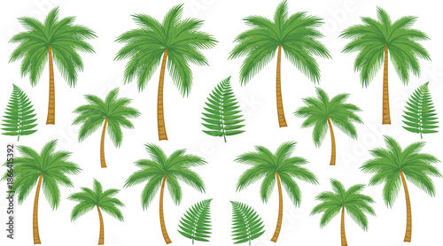 Set of tropical palm trees and green fern leaves collection isolated on white background for summer vacation and exotic nature design