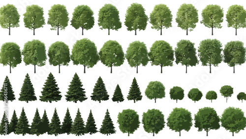 Set of 40 Various Green Deciduous and Coniferous Trees on White Background