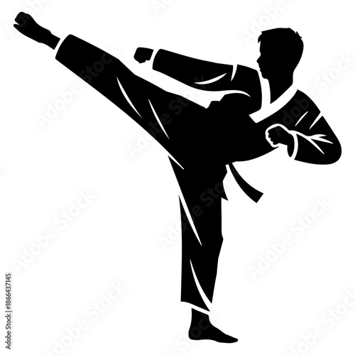 Karate kick silhouette vector on white background, Karate fighter silhouette vector, sport, human, logotype, symbol, icons, body