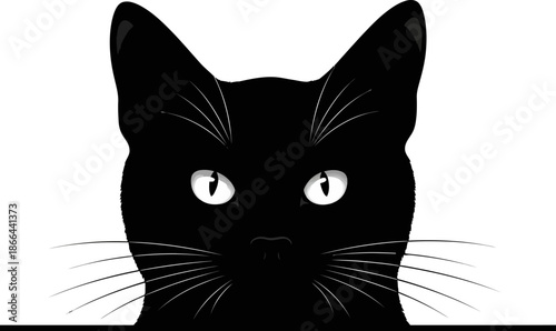 Mysterious Black Cat Peeking Over Edge with Bright White Eyes Studio Portrait