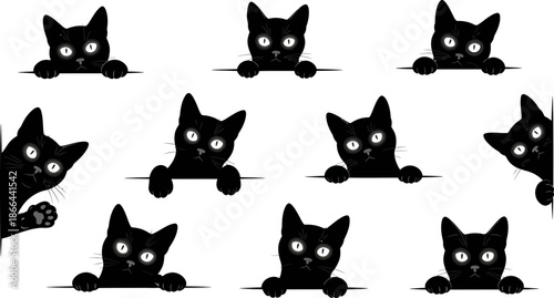 Cute Black Kittens Peeking Over Edge Adorable Playful Felines Photography