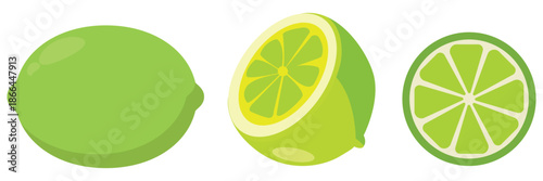 Fresh Green Lime Fruit Vector Set with Whole Limes, Slices, Wedges and Halves Isolated on White
 Background