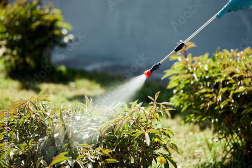 фотографія The farmer sprays pesticides on the garden, vegetable garden, farm, to protect plants from diseases and pests