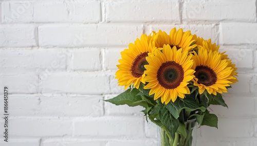 Sunflowers in a Jar on a Table Against a White Brick Wall in a Bright Indoor ...
