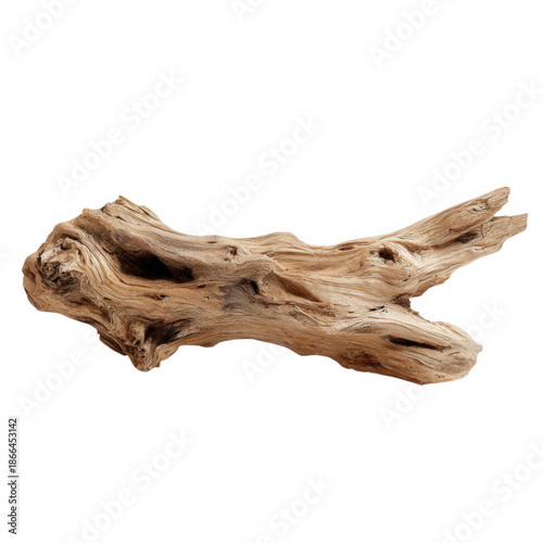 Natural driftwood piece isolated on transparent background