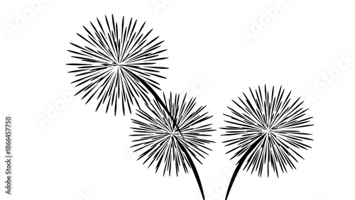 Fireworks display with a captivating pattern