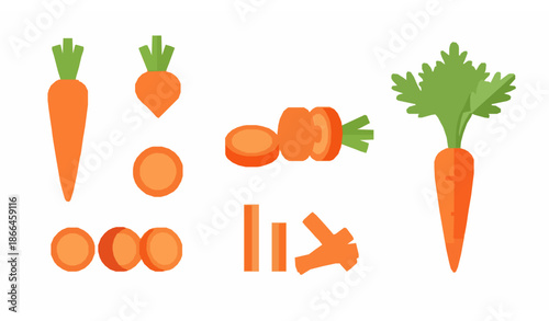 Flat carrot vegetable vector set isolated on white background for healthy food and nutrition design