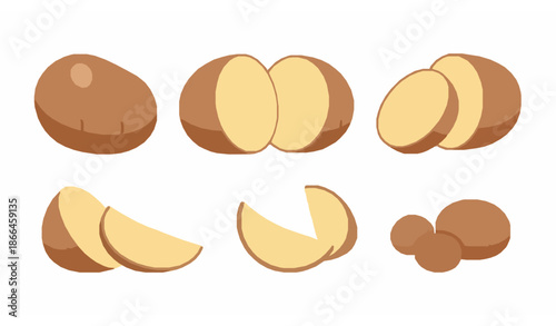 Fresh organic potato vegetable vector set isolated on white background for everyday food design