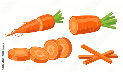 Botanical carrot vegetable vector illustration set isolated on white background for food packaging