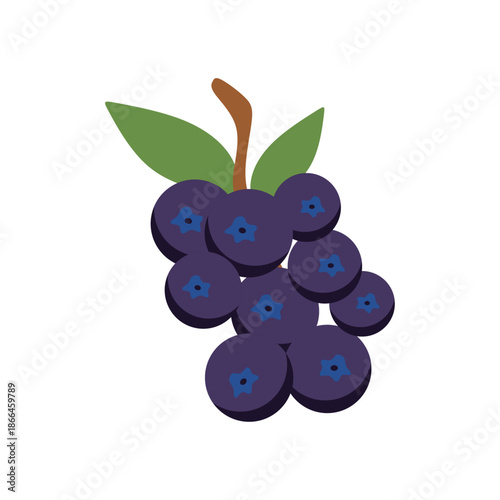 Cluster of Blueberries with...