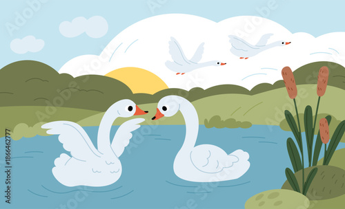 Cartoon couple swans on pond. From duckling to swan story, natural landscape with beautiful white pair birds, meeting of kindred, romantic scene for valentine day card, garish vector concept