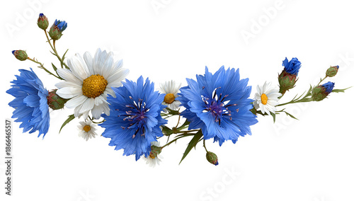 Elegant floral arrangement featuring vibrant blue cornflowers and white daisies