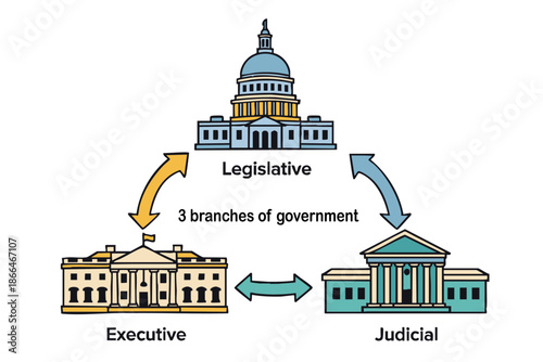 3 Branches of US Government Checks and Balances Infographic Vector