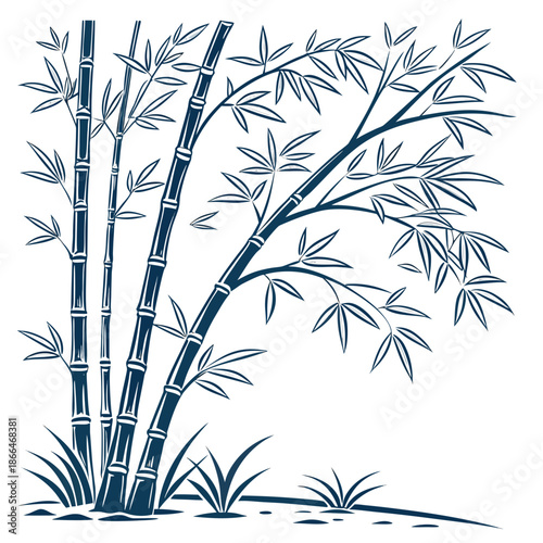 Bamboo grove illustration