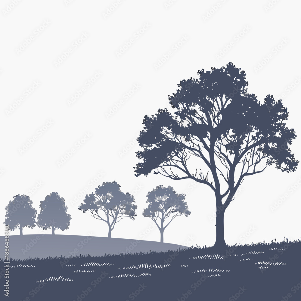 Fototapeta premium Silhouette of trees on a hill