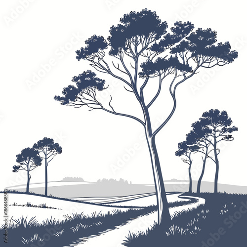 Serene countryside path with tall trees