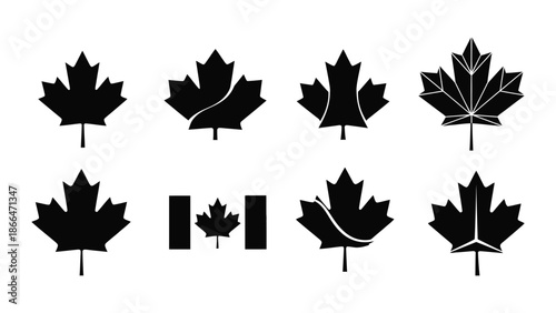 Canada Maple Leaf Shape icon silhouette vector illustration design