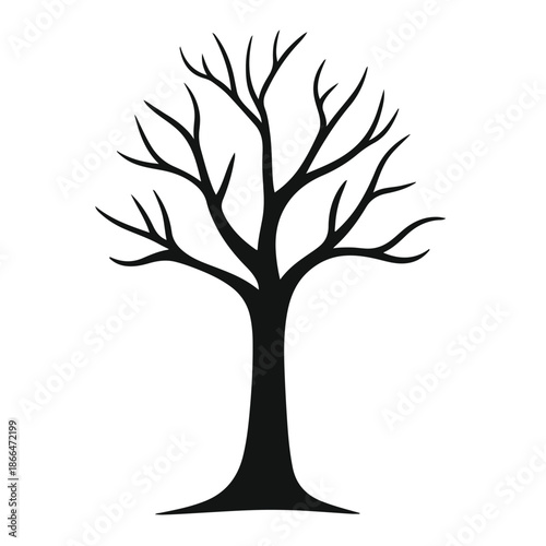 Bare trees silhouette