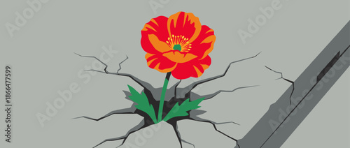 Single vibrant red and orange poppy flower grows through a crack in grey concrete, symbolizing resilience, hope, and new beginnings in a powerful graphic illustration