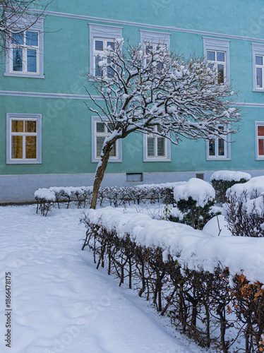 snow covered small park with single minimalist tree in middle over blue light facade budiling 