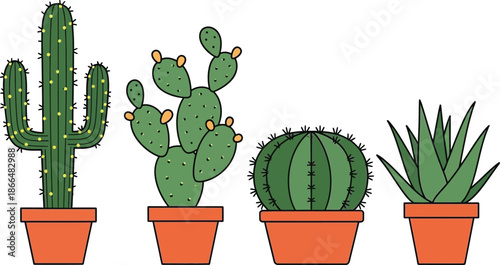 Flat design set of 4 Cactus varieties saguaro prickly pear barrel cactus and aloe vera in pots