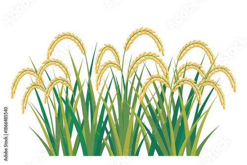 Several vibrant green rice plants with golden grains stand tall, ready for harvest.