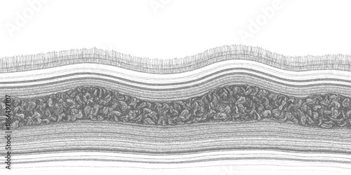 Detailed cross-section illustration revealing intricate layers of organic material