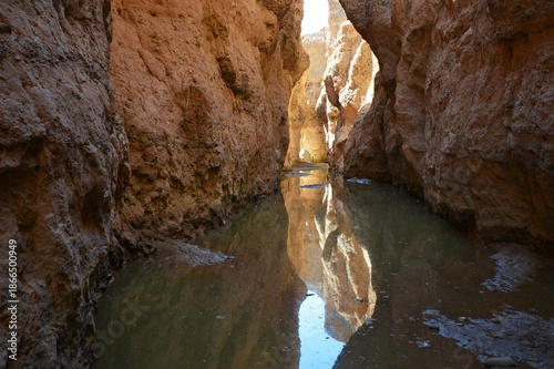 Sesriem Canyon nach der Regenzeit (Wüste Namib in Namibia)