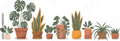 Potted houseplants, indoor greenery, Monstera, snake plant, leafy decor, cartoon style, botanical illustration, home garden, plant diversity