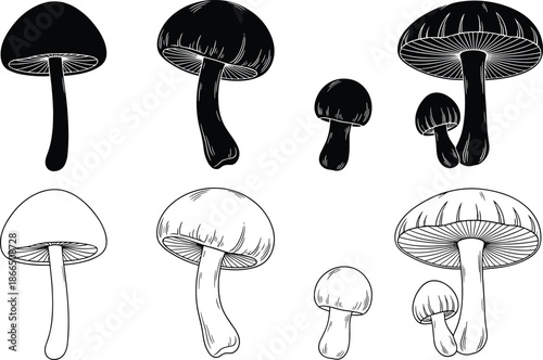 Mushroom silhouettes and outline illustrations set, wild fungi shapes collection, black and white hand drawn vector design isolated