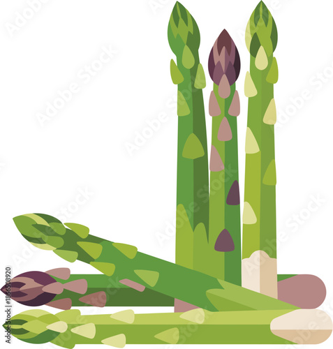 green asparagus flat design on white background clip art preview